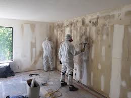 Best Environmental Consulting for Mold Prevention  in Montevlo, AL